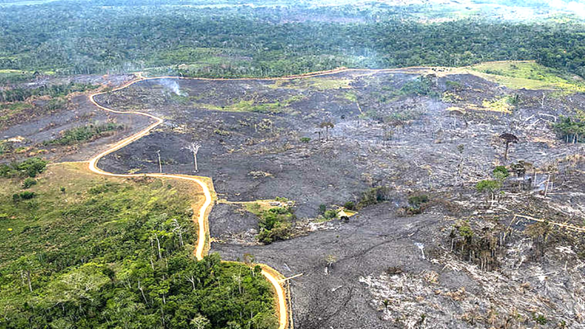 Les incendies d'Amazonie sont utilisés pour chasser les indigènes ...